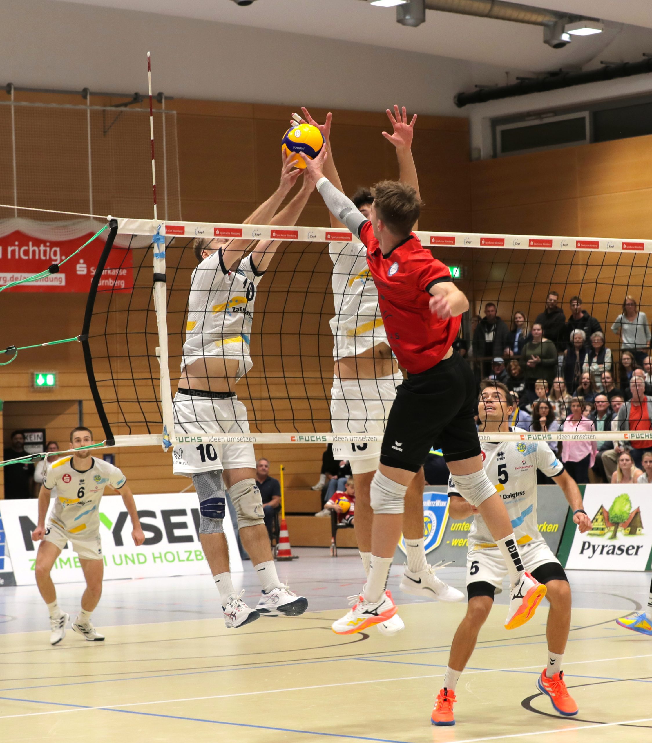 SV Schwaig unterliegt den Blue Volleys Gotha zuhause mit 0:3